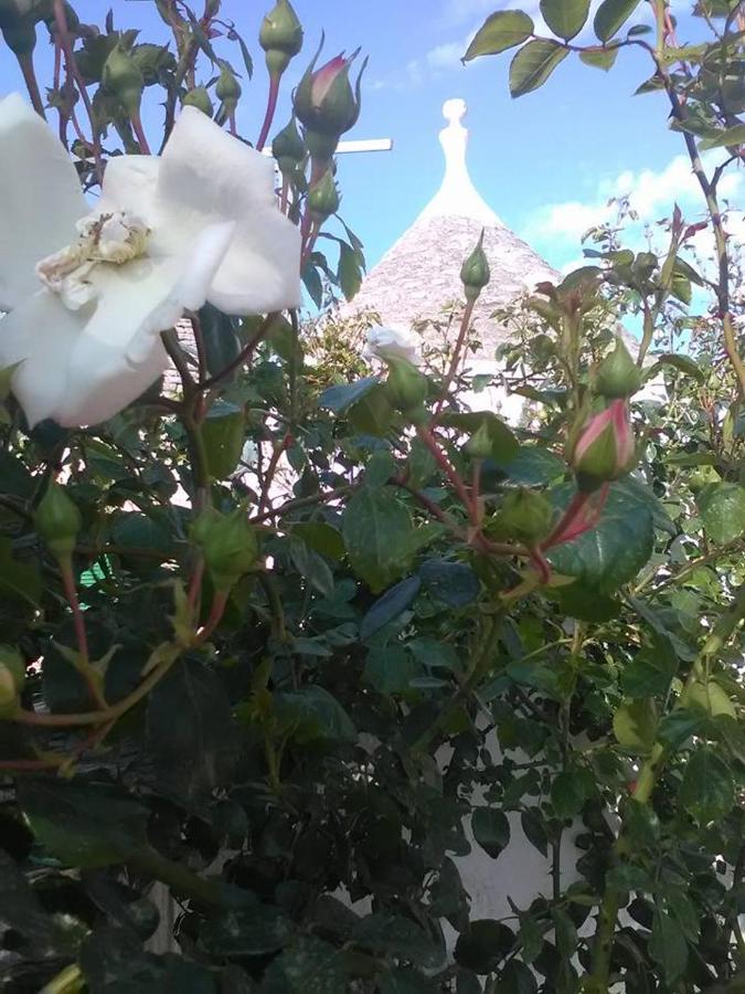 Trulli Di Ivana Ostuni Dış mekan fotoğraf