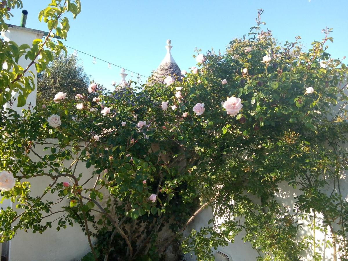 Trulli Di Ivana Ostuni Dış mekan fotoğraf